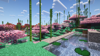 Sakuras!