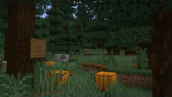 Geophilic Taiga