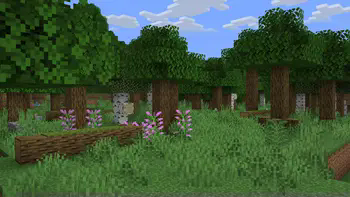 Geophilic Forest