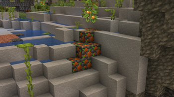 Onion ore out in the wild