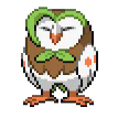 RDD Parrots