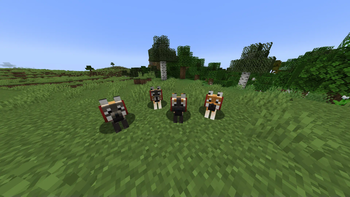 Tamed Dire Wolves