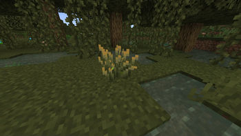 The Actual Bush