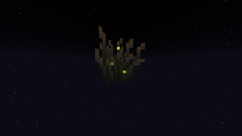The Bush in the Night