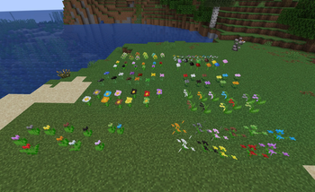Rainbow of Flowers!