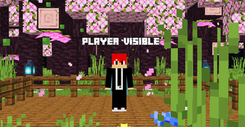 Player Visible