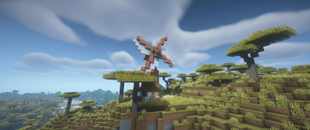 Acacia Windmill