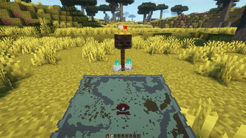 Find the Treasure