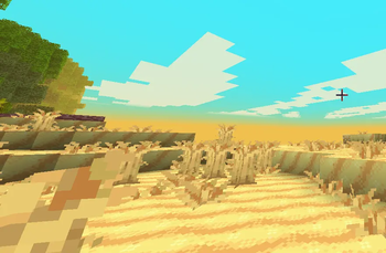 beaches, deserts, etc!