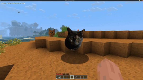 Combat log: 1x cat, angry
