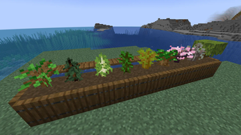 Verdant Mulch (Saplings)