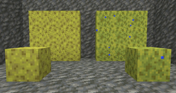 Old sponges! (For comparison!)