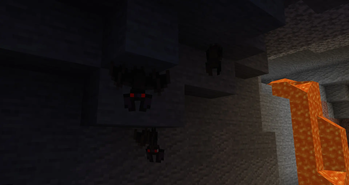Bats