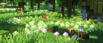 Wildlife