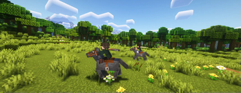 Horses