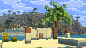 Oasis