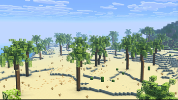 Oasis