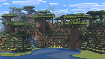 Dry Forest