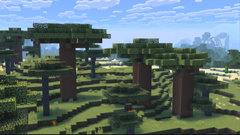Dry Forest