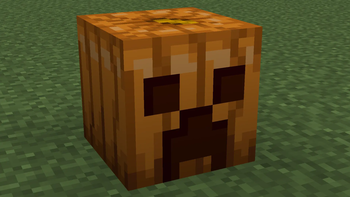 PumpkinShowcase1