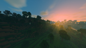 gallery-image