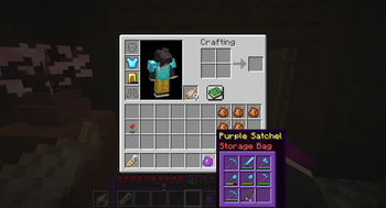 Full purple satchel