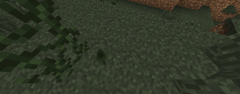 SMOOTHER LEAVES