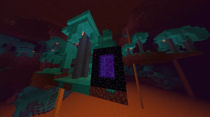 Just a screenshot of a nether portal