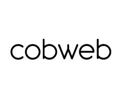 cobweb