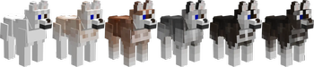 All siberian husky coats