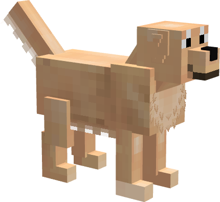 Golden coat