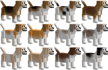 All beagle coats