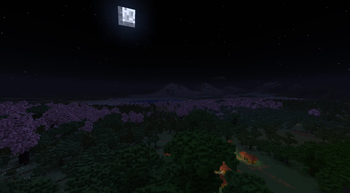 Distant View
