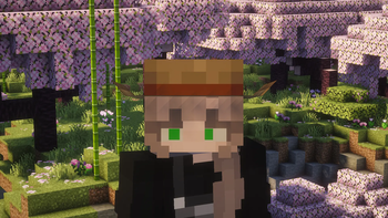 Modpack icon