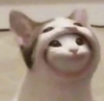 eeeysh