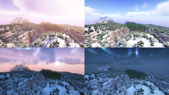 Shader