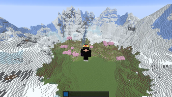 Spin Optimized — screenshot 2