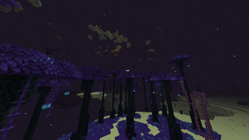 A new end biome.