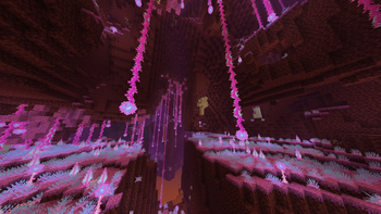 A new nether biome.