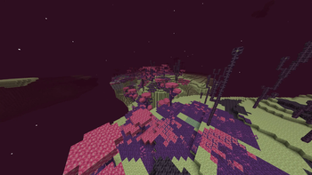 A new end biome.