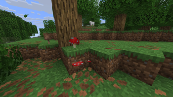 Red mushroom