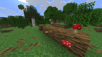 Mushrooms