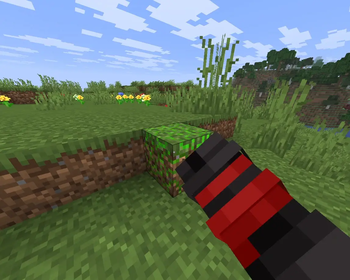 Grass Preview 4