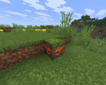 Grass Preview 2