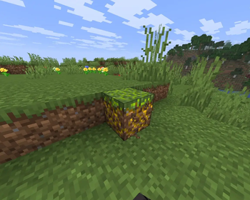 Grass Preview 3