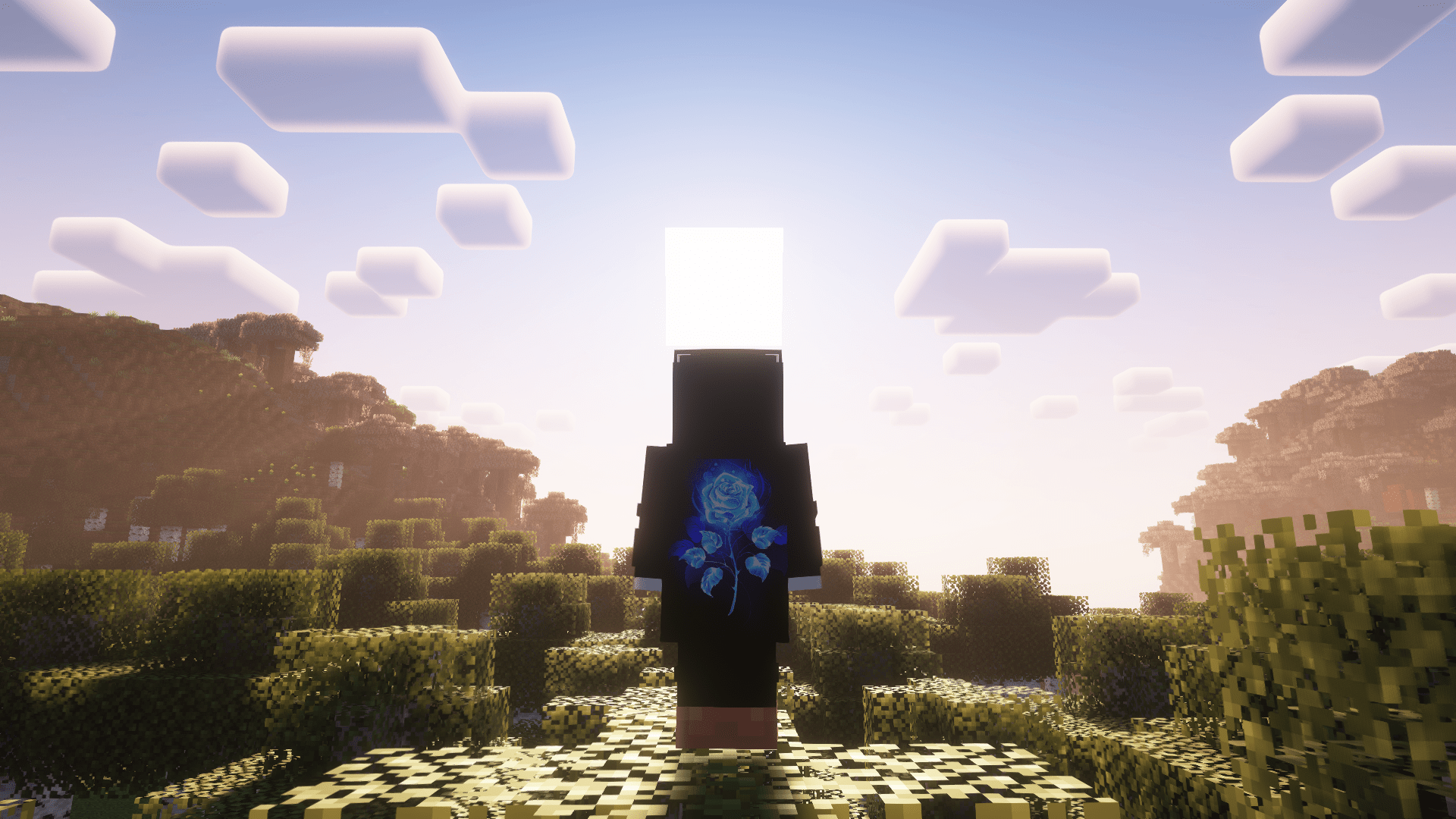 Minecraft Player with Cape