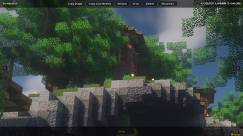 Viewing A Screenshot