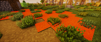 Overlay