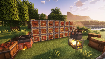 Showcase