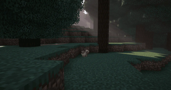Eevee roaming in wild 